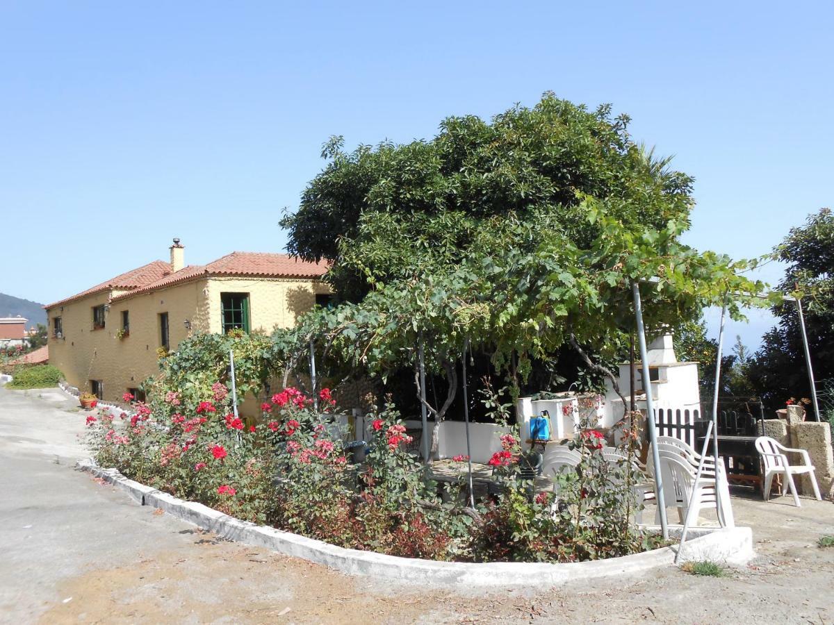 Casitas Las Uvas Y Las Vinas Los Realejos Exterior foto